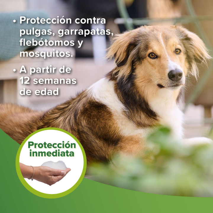 Champú Repulsivo Antiparasitario 250ml - PiensoyMascotas