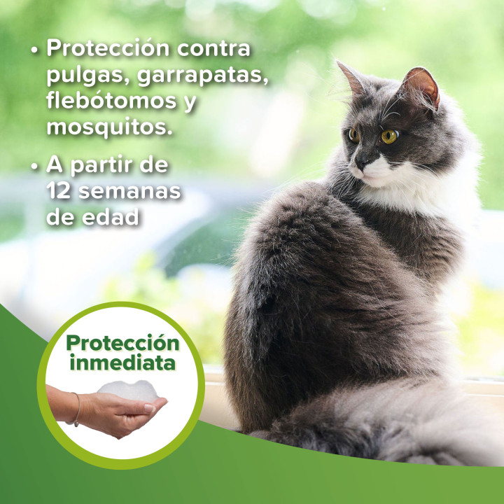 Champú Repulsivo Antiparasitario 250ml - PiensoyMascotas