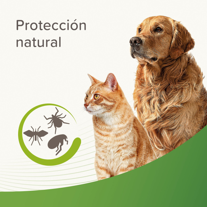 Champú Repulsivo Antiparasitario 250ml - PiensoyMascotas