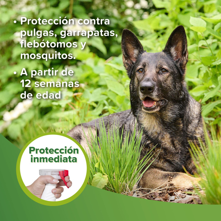 Loción Repulsiva Antiparasitaria-PiensoyMascotas