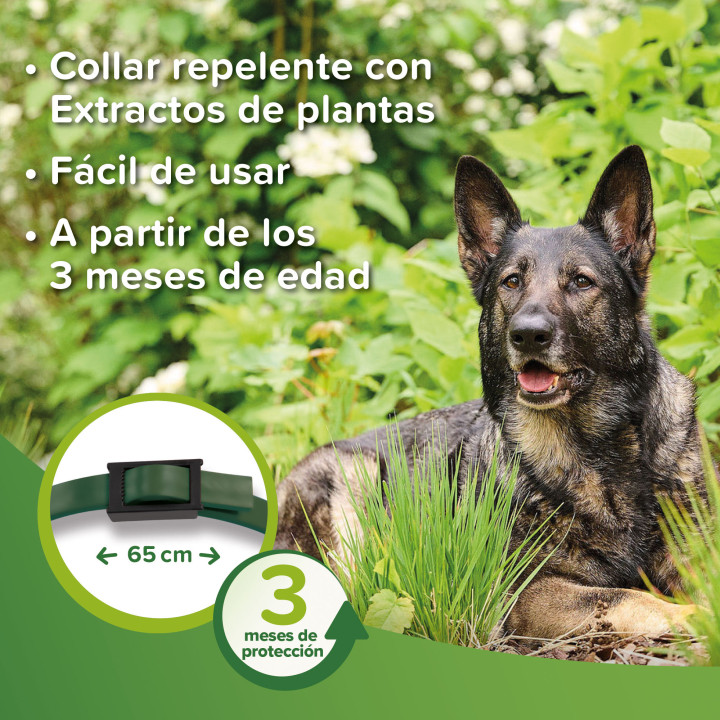 Collar Bio Band Repulsivo con Extracto de Margosa - PiensoyMascotas