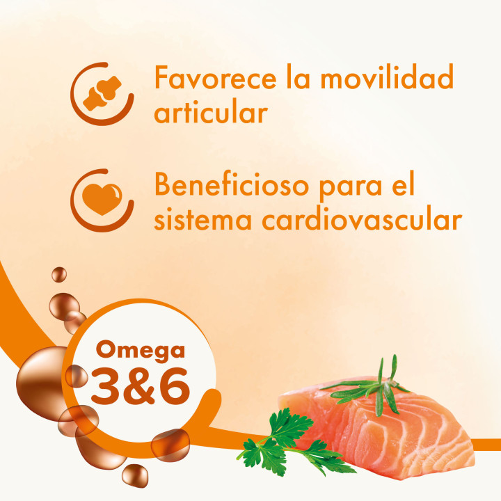 Beaphar Aceite de salmón 425ml - PiensoyMascotas