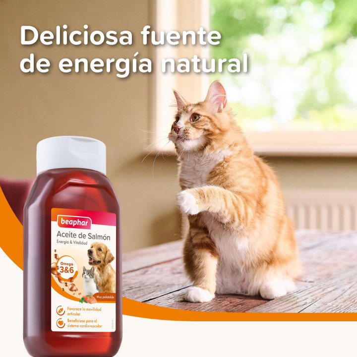 Beaphar Aceite de salmón 425ml - PiensoyMascotas
