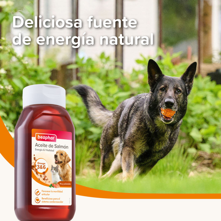 Beaphar Aceite de salmón 425ml - PiensoyMascotas