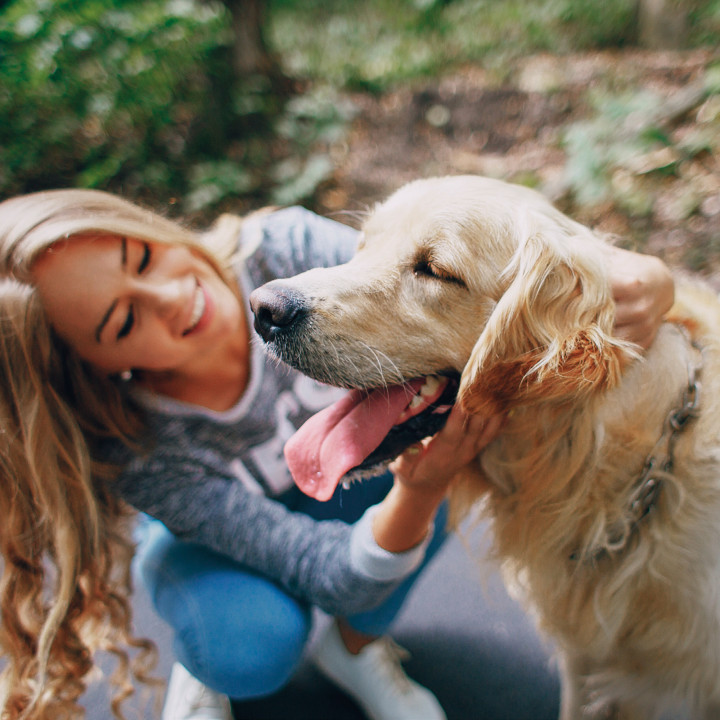 Laveta con Carnitina, para la caida del pelo - PiensoyMascotas