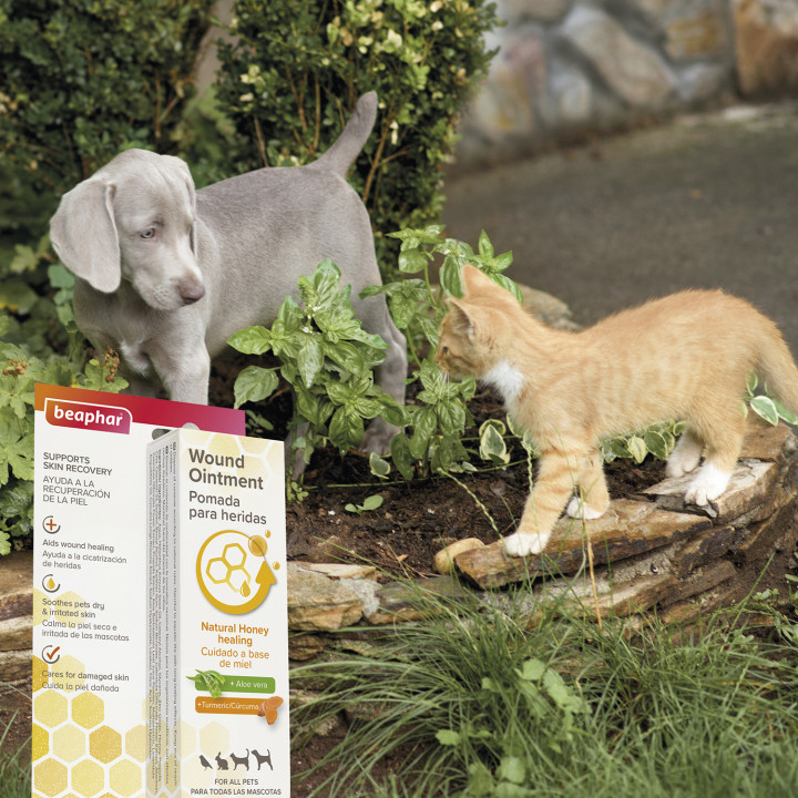 Beaphar pomada para heridas perro - Kompymascotas