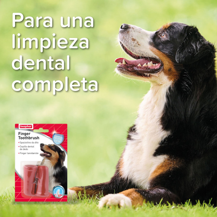 Cepillo dental de dedo - PiensoyMascotas