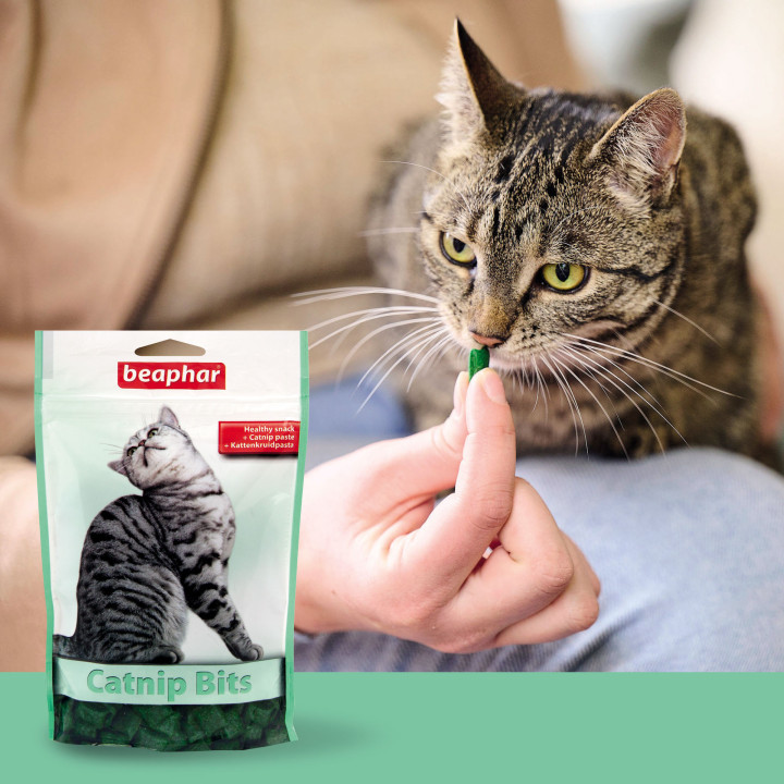Bocaditos Hierba Gatera 'Catnip-Bits'- PiensoyMascotas