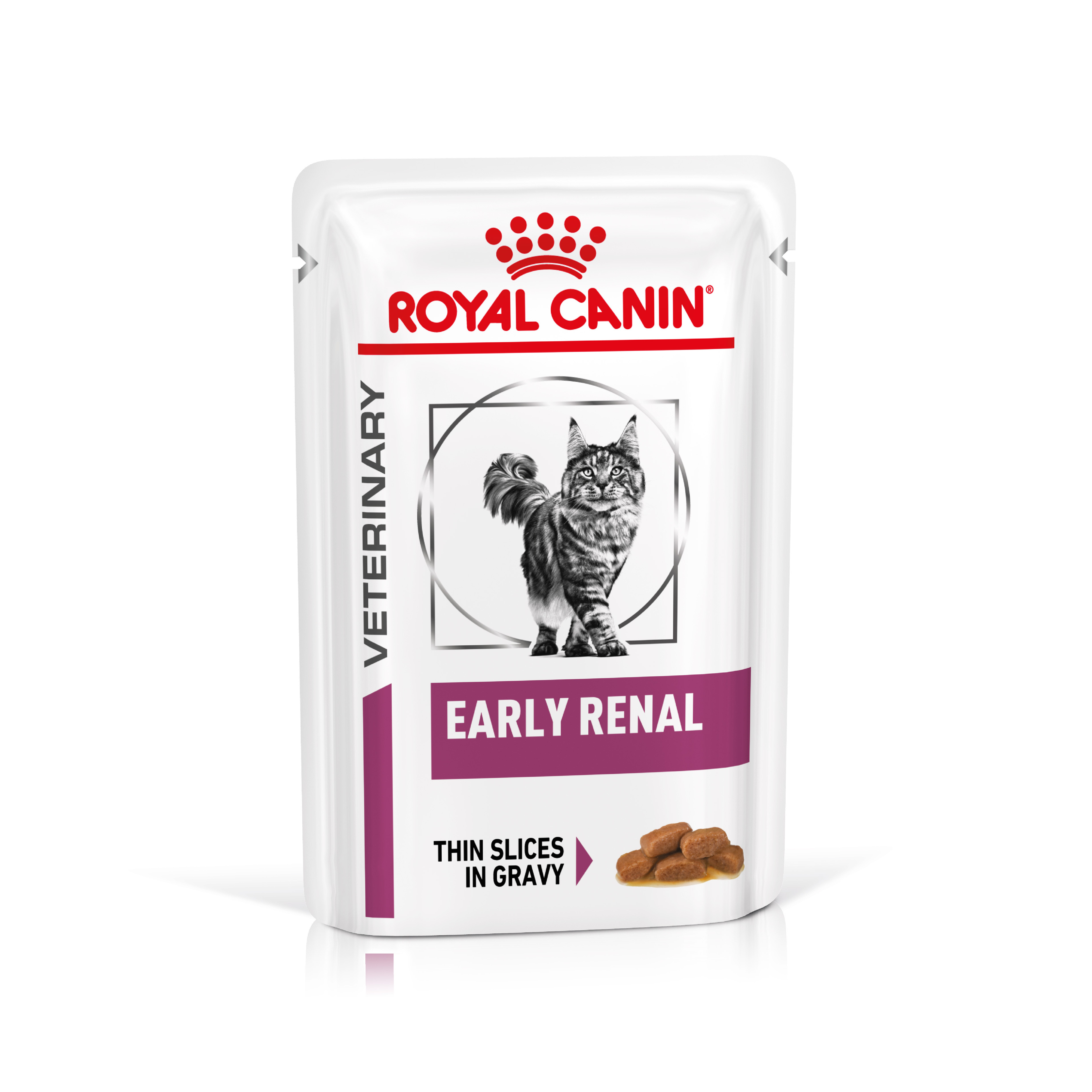 Royal canin veterinary diet húmedo gato