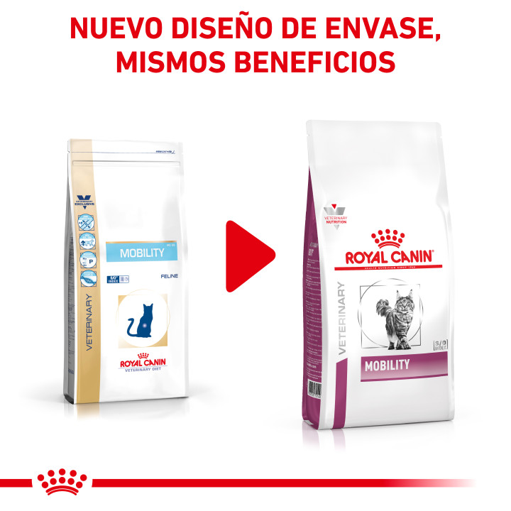 Pienso veterinario Royal Canin para gatos Mobility - Kompymascotas