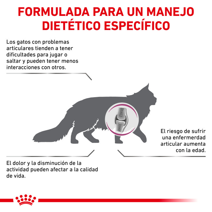 Pienso veterinario Royal Canin para gatos Mobility - Kompymascotas