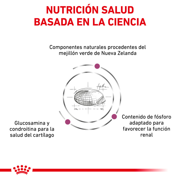 Pienso veterinario Royal Canin para gatos Mobility - Kompymascotas