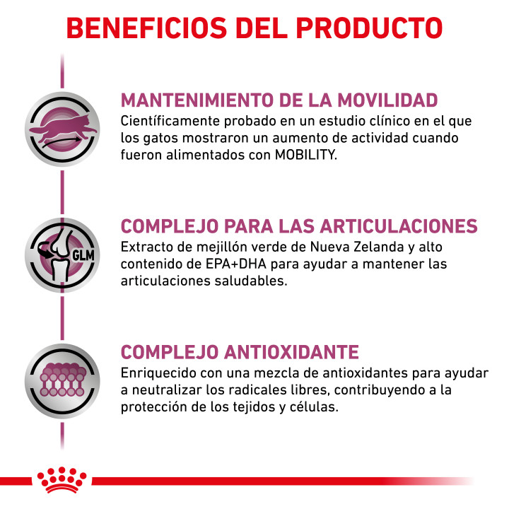 Pienso veterinario Royal Canin para gatos Mobility - Kompymascotas