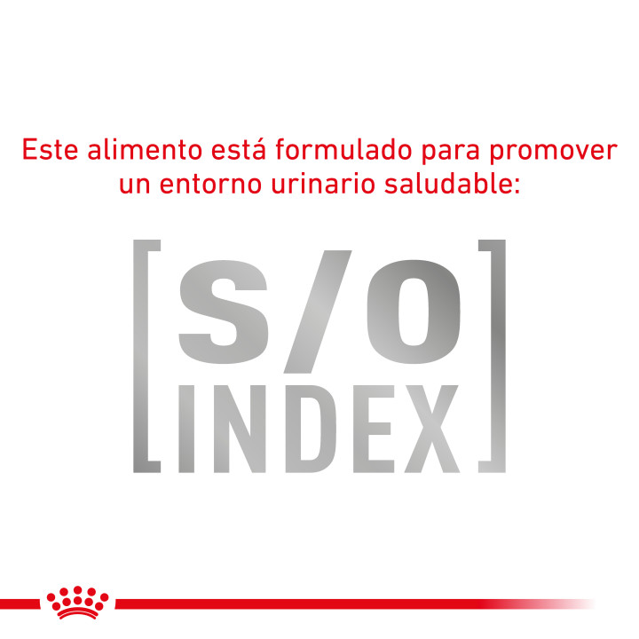 Pienso veterinario Royal Canin para gatos Mobility - Kompymascotas