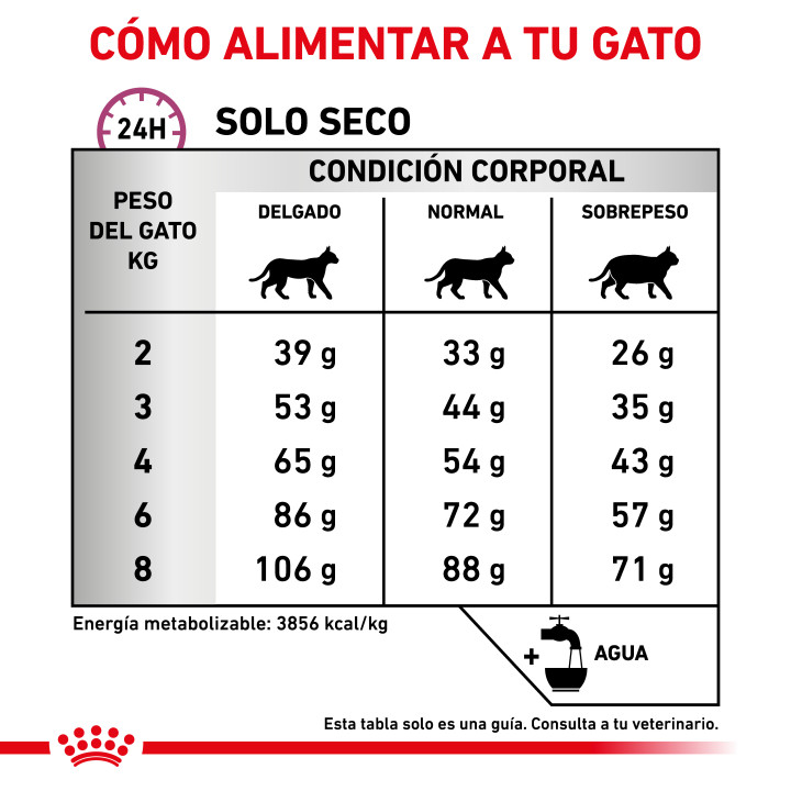 Pienso veterinario Royal Canin para gatos Mobility - Kompymascotas
