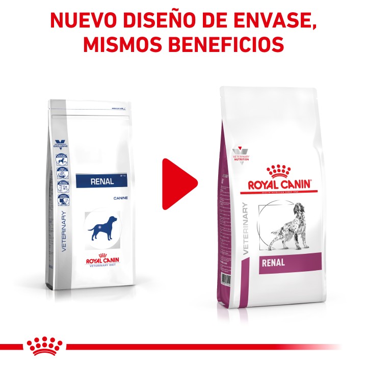 Royal Canin Renal, pienso para perros - Kompymascotas
