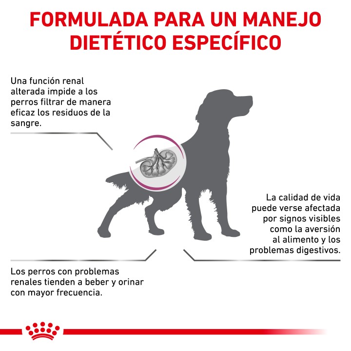 Royal Canin Renal, pienso para perros - Kompymascotas
