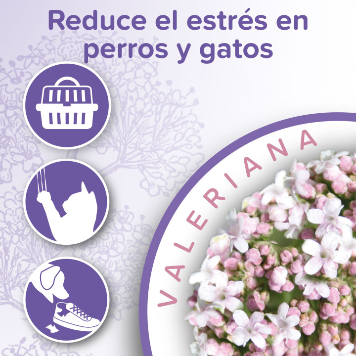 Calming Spray Ambiente Perro y Gato - PiensoyMascotas