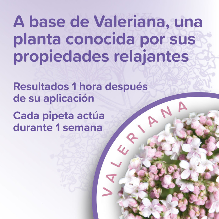 Calming Spot On pipetas calmantes perro - PiensoyMascotas
