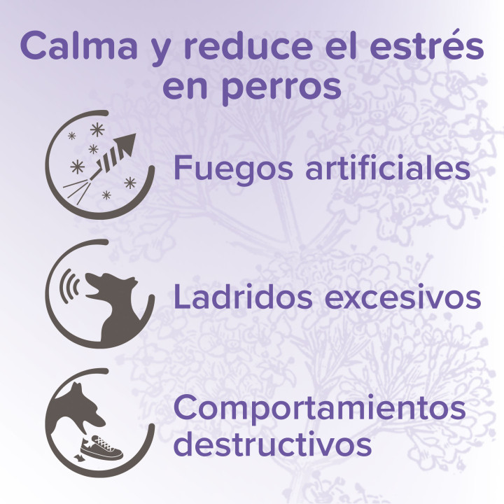 Calming Spot On pipetas calmantes perro - PiensoyMascotas