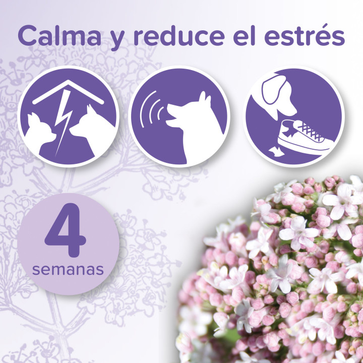 No Stress Pack Difusor y Recarga - PiensoyMascotas
