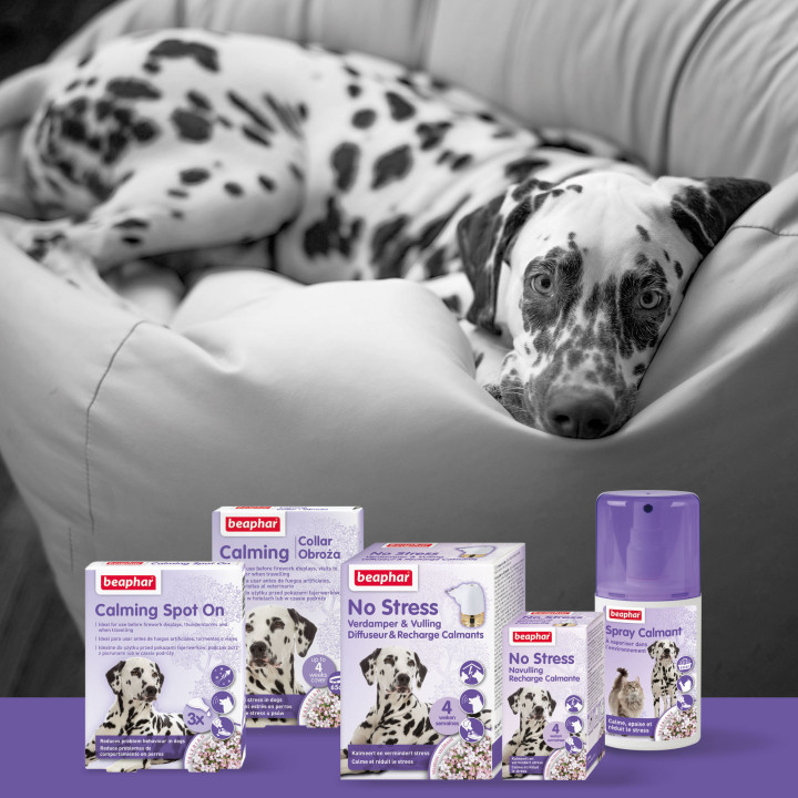 No Stress Pack Difusor y Recarga - PiensoyMascotas