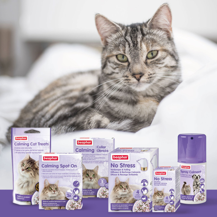 No Stress Pack Difusor y Recarga - PiensoyMascotas
