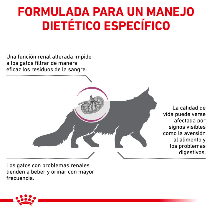  Pienso veterninario Royal Canin para gatos Renal - Kompymascotas