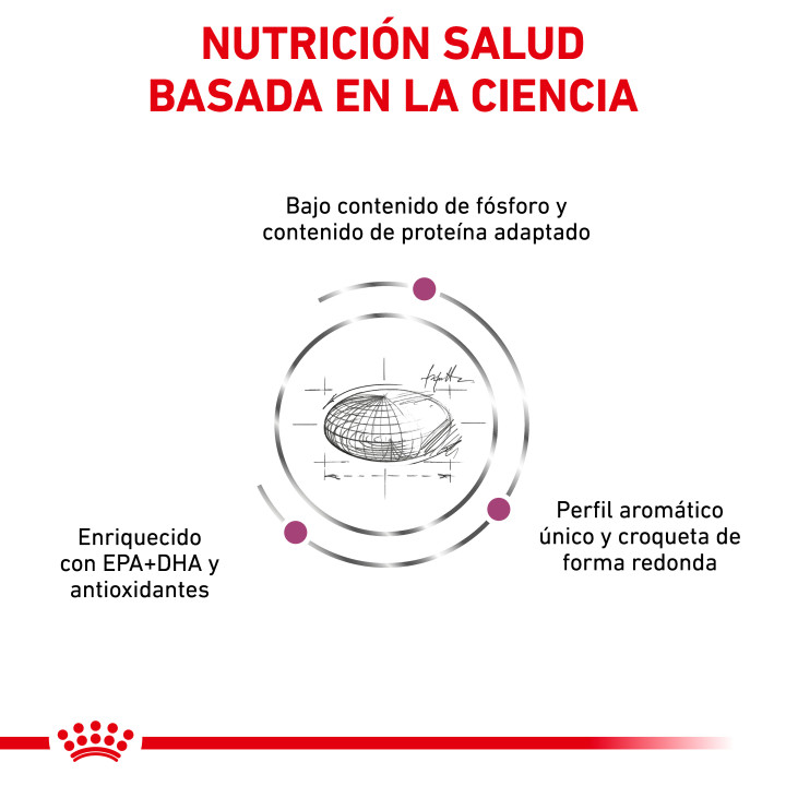  Pienso veterninario Royal Canin para gatos Renal - Kompymascotas