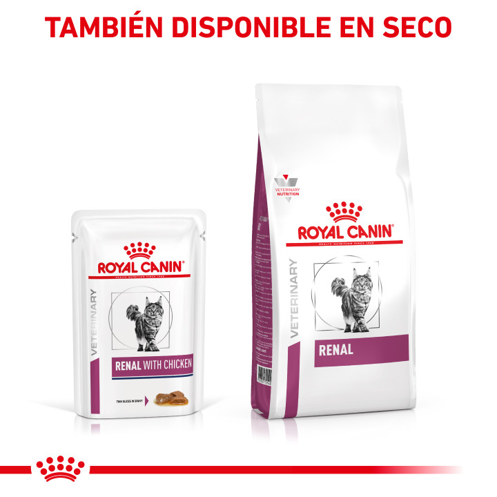 Comida húmeda para gatos Royal Canin Veterinary Diet Renal (Pollo) - Kompymascotas