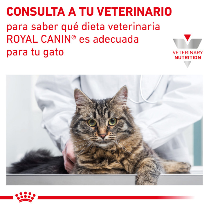 Comida húmeda para gatos Royal Canin Veterinary Diet Renal (Pollo) - Kompymascotas