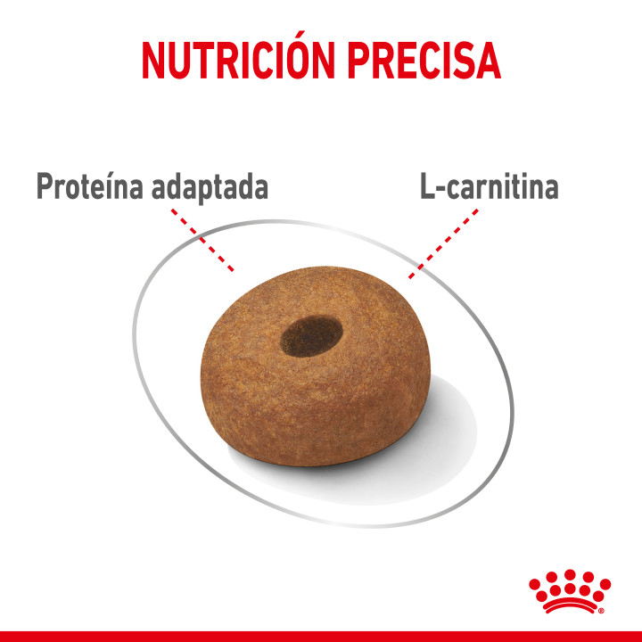 Royal Canin Maxi Light Weight Care Pienso para perros - Kompymascotas