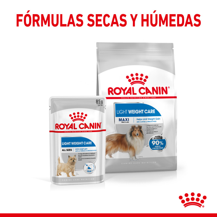 Royal Canin Maxi Light Weight Care Pienso para perros - Kompymascotas