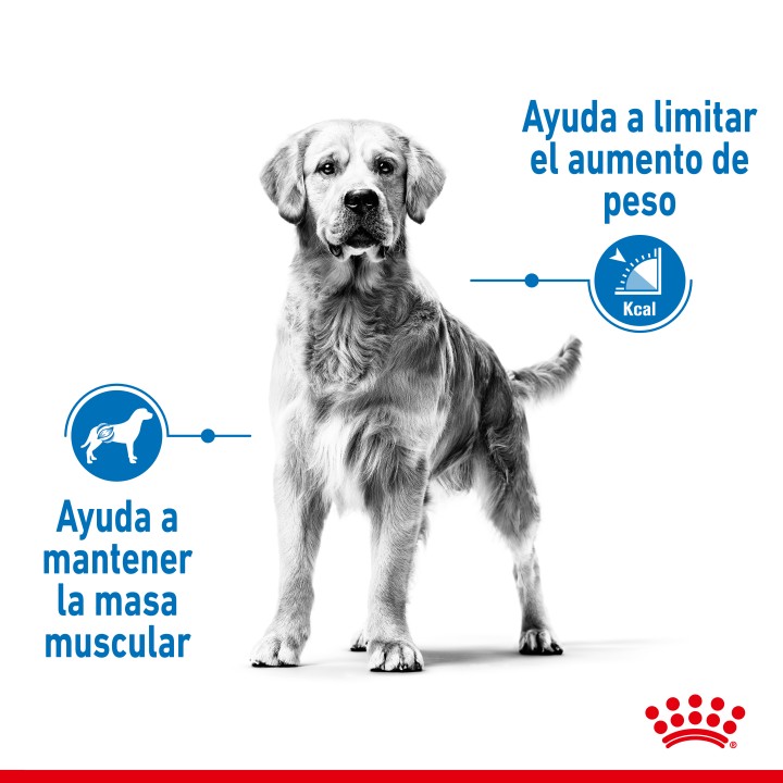 Royal Canin Medium Light Weight Care Pienso para perros - Kompymascotas