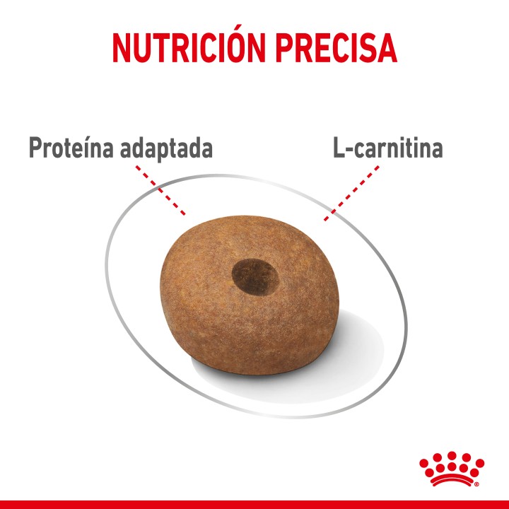 Royal Canin Medium Light Weight Care Pienso para perros - Kompymascotas