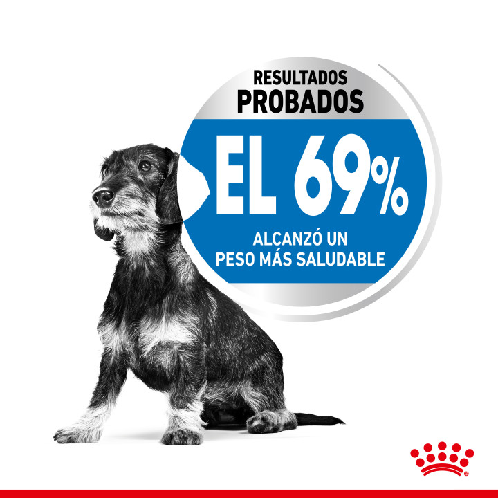 Royal Canin X-Small Light Weight Care - Kompymascotas