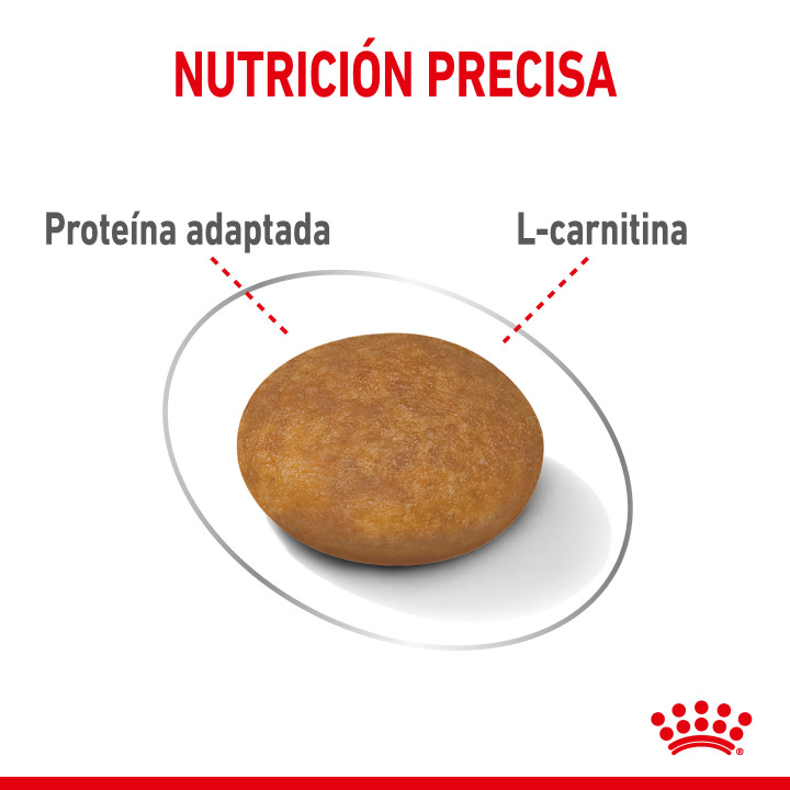 Royal Canin X-Small Light Weight Care - Kompymascotas