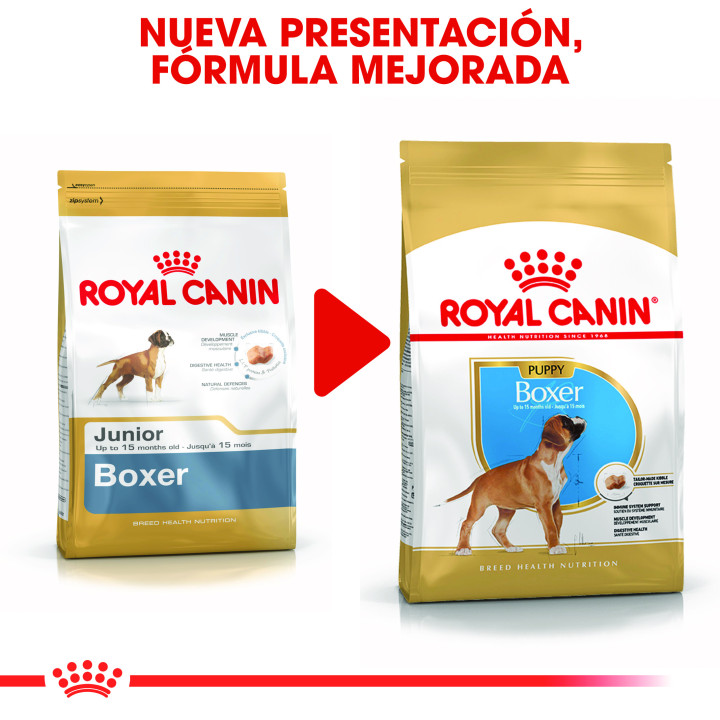 Royal Canin Boxer Puppy pienso para cachorros  - Kompymascotas