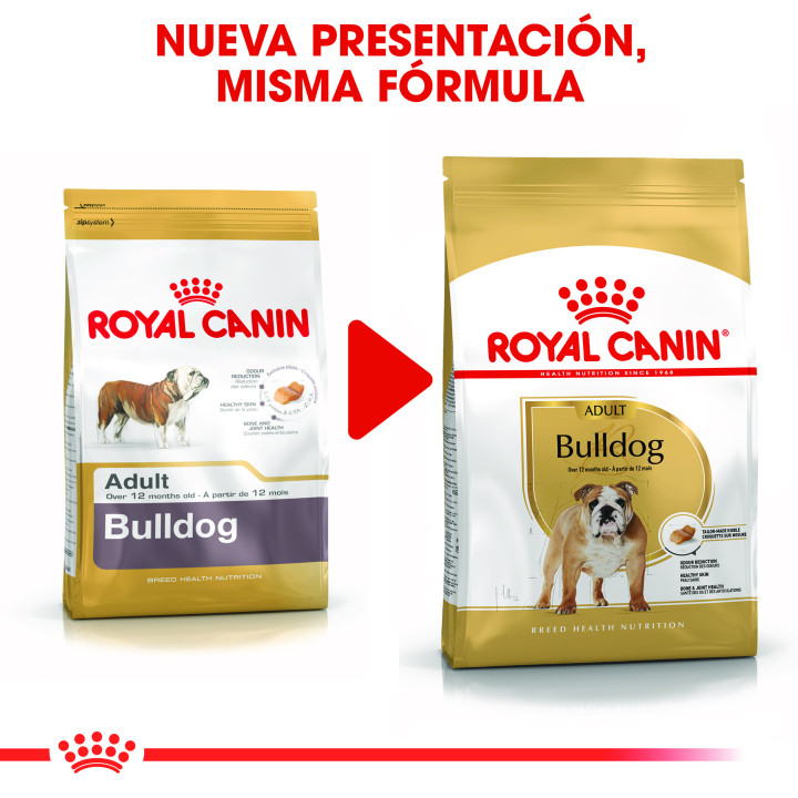 Royal Canin Bulldog pienso para perro adulto  - Kompymascotas