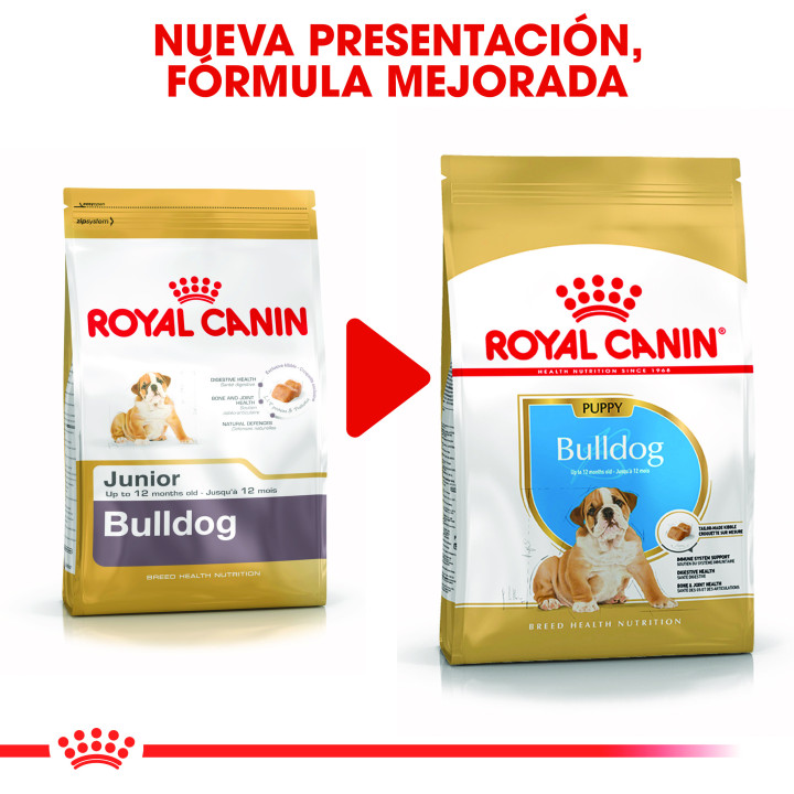 Royal Canin Bulldog Puppy pienso para cachorros  - Kompymascotas