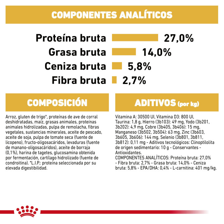 Royal Canin Cavalier King Charles pienso para perro adulto  - Kompymascotas