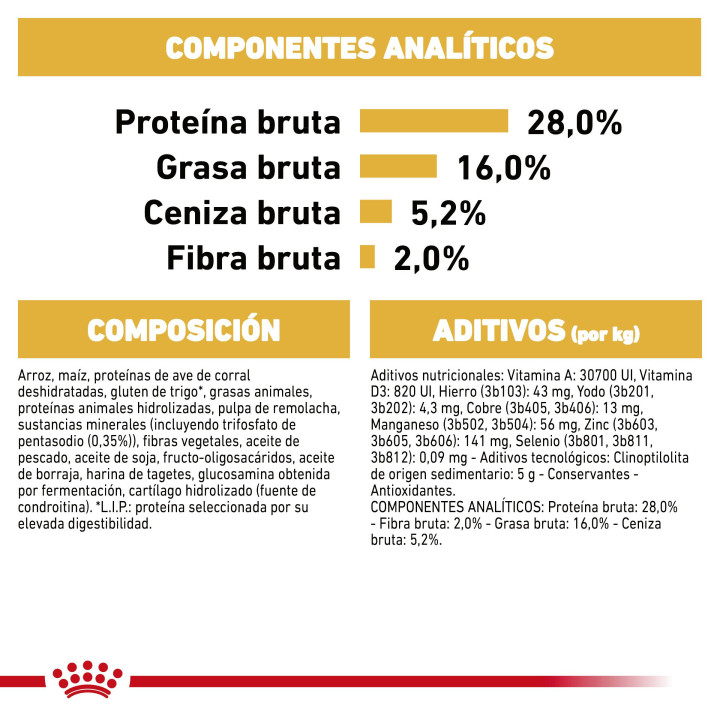 Royal Canin Chihuahua pienso para perro adulto  - Kompymascotas