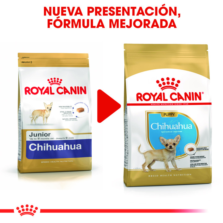 Royal Canin Chihuahua Puppy pienso para cachorros  - Kompymascotas