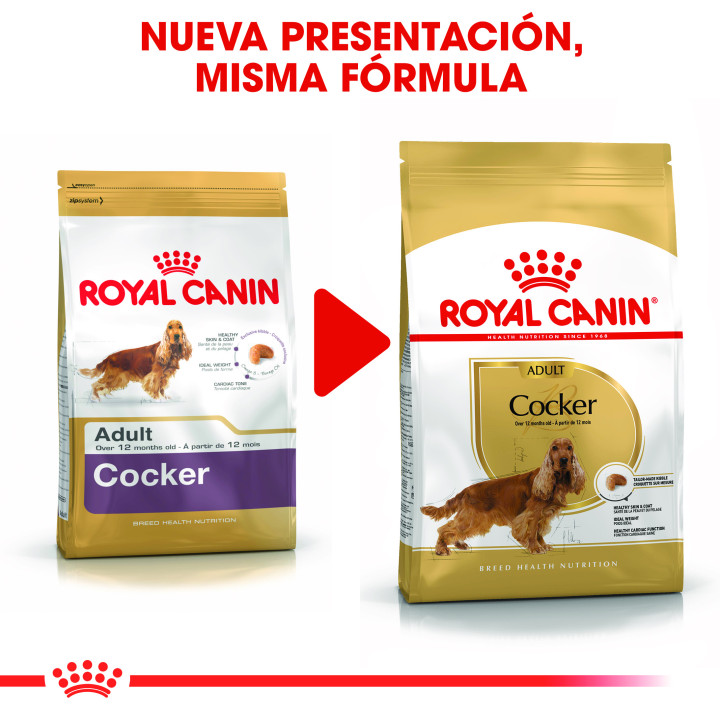 Royal Canin Cocker pienso para perro adulto  - Kompymascotas