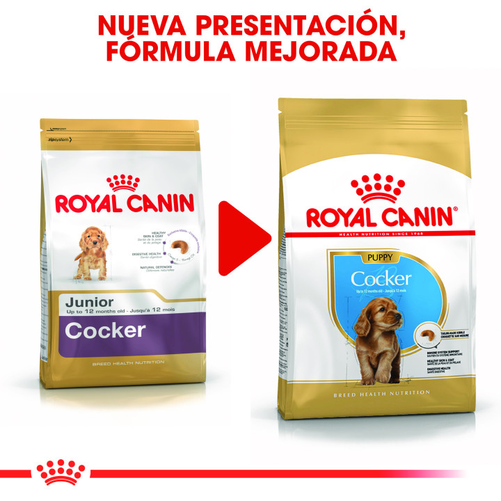 Royal Canin Cocker Puppy pienso para cachorros  - Kompymascotas
