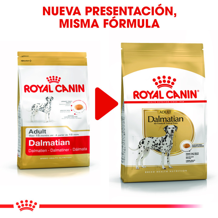 Royal Canin Dalmatian pienso para perro dálmata adulto  - Kompymascotas