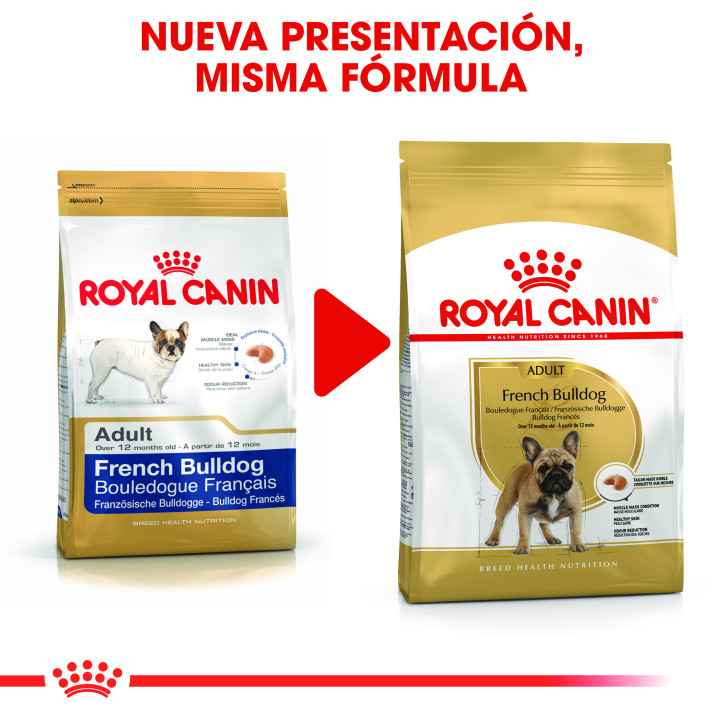 Royal Canin French Bulldog pienso para bulldog francés adulto  - Kompymascotas
