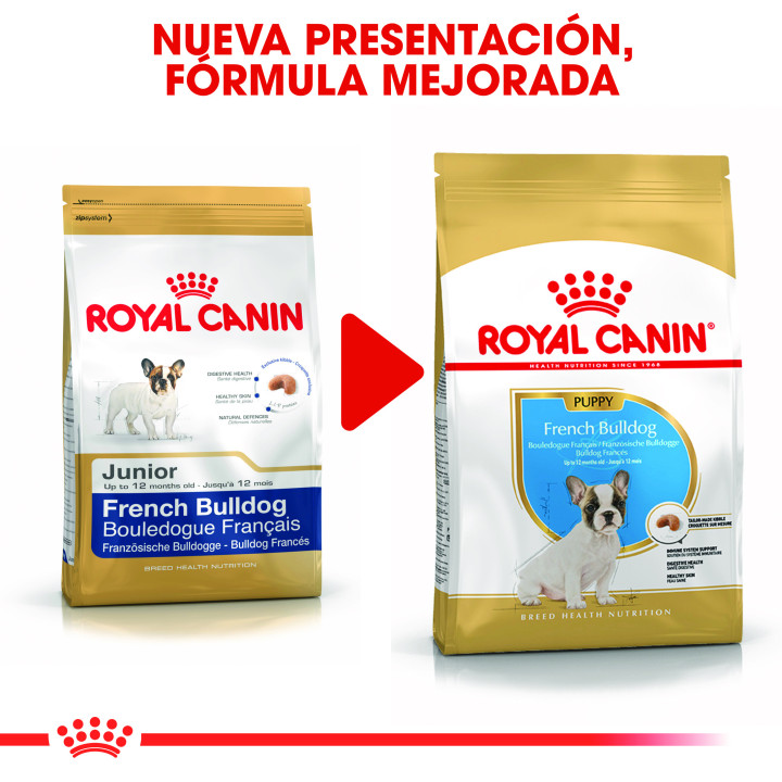 Royal Canin French Bulldog Puppy pienso para bulldog francés cachorro  - Kompymascotas