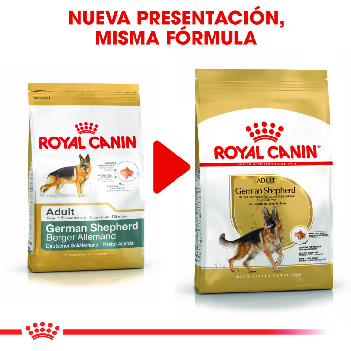 Royal Canin German shepherd pienso para pastor alemán adulto  - Kompymascotas