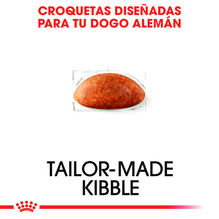 Royal Canin Great Dane pienso para gran danés adulto  - Kompymascotas